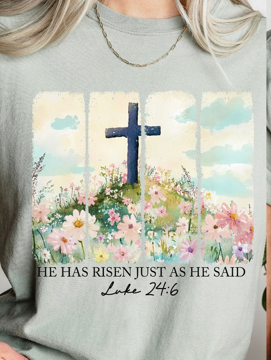 Adult Tshirt