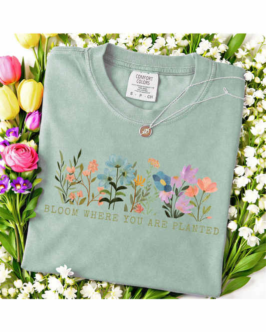 Adult Tshirt